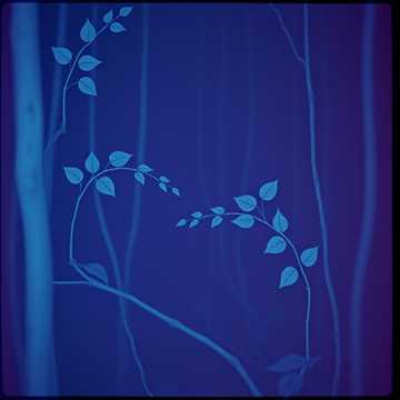 Song Cover