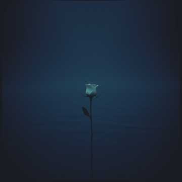 Song Cover