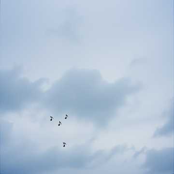 Song Cover