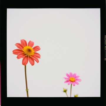 Song Cover