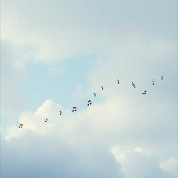 Song Cover