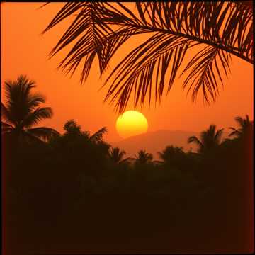 Song Cover