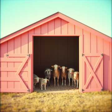 Song Cover