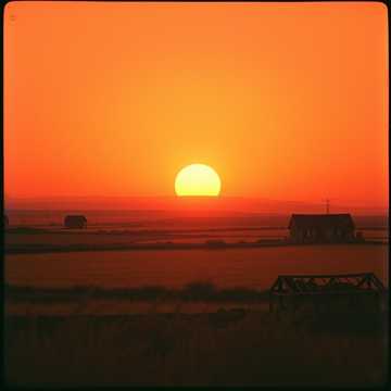 Song Cover