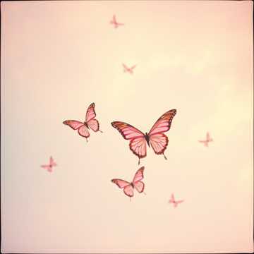 Song Cover