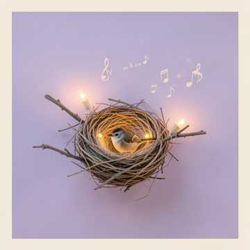Song Cover