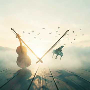 Sunlit Stretch Cover