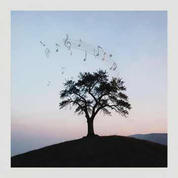 1 Cover