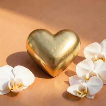 Inspirasyong Alawi (The Heart of Ivana) Cover