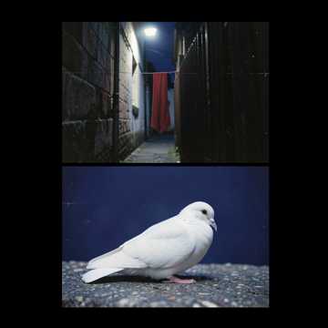 Song Cover