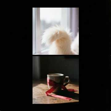 チャシャ猫だからイタズラするもん♪ Cover