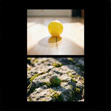 Anlaut Zoo Cover