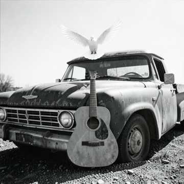Dolly Cover