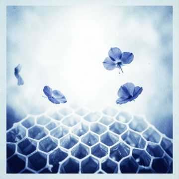 مه خندای تو دیدم Cover
