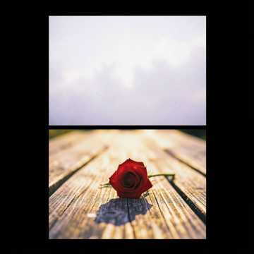 Convive 2 Cover