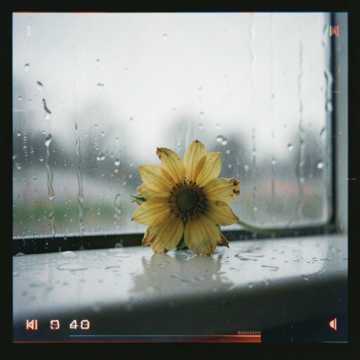 navid Cover