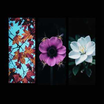 Hermosa mentira Cover