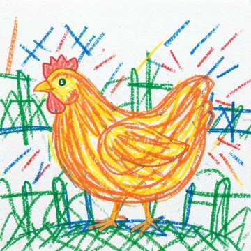Rafaa integrated farms Cover