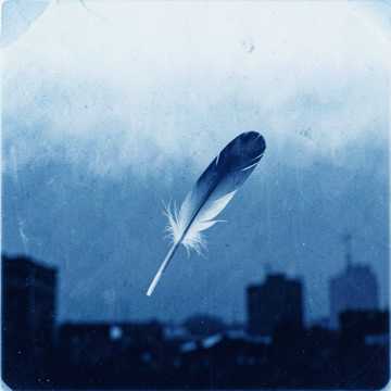 Fliegen Cover