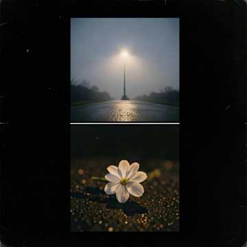 Elena Cover