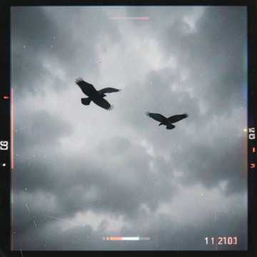 Song Cover