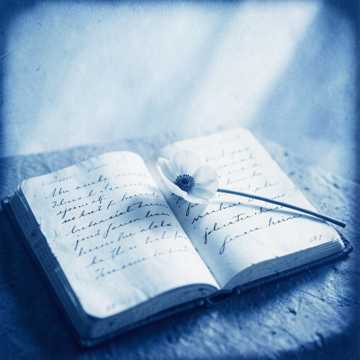 الحب مغنّىً كشعر Cover