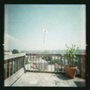 Hey vos Cover