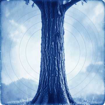 Marca el Árbol Cover