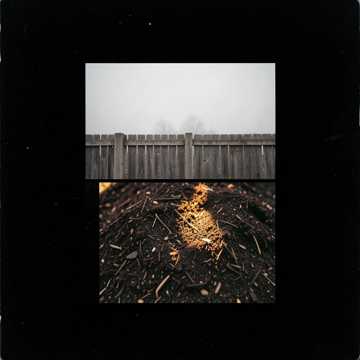 Dirt's Alright Cover