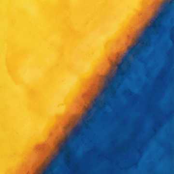 بید و باد Cover