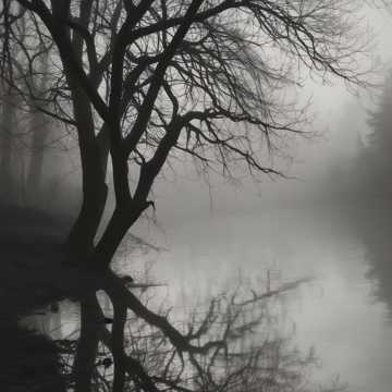 Song Cover